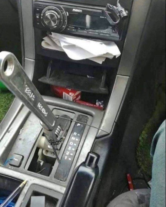 Прикольные картинки
