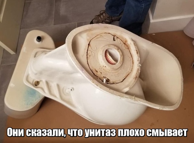 Прикольные картинки