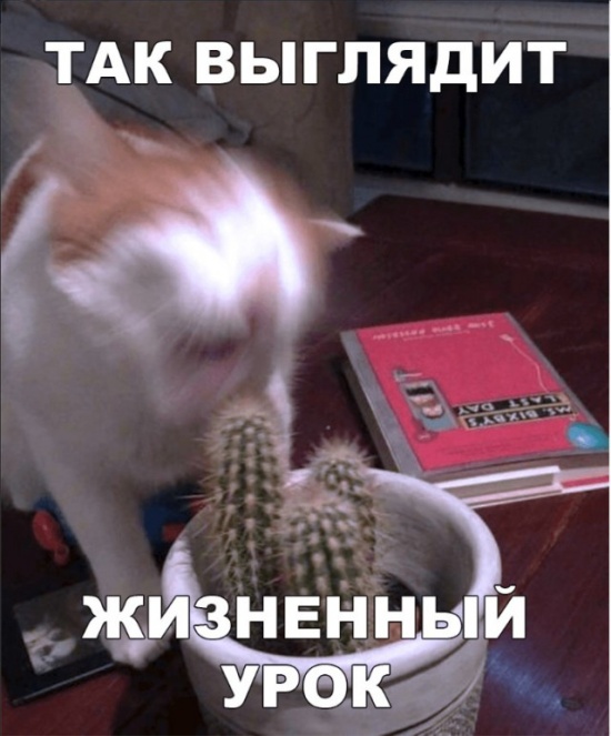 Простой юмор с просторов сети