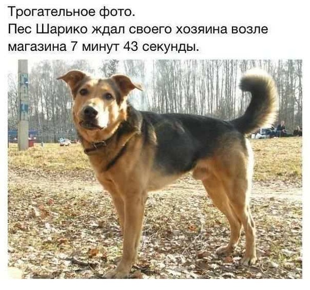 Простой юмор с просторов сети