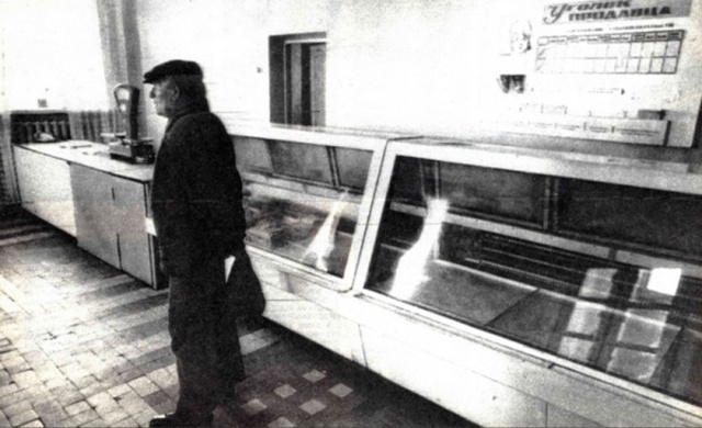 Страны СНГ в 90-е годы Страны СНГ в 90-е годы