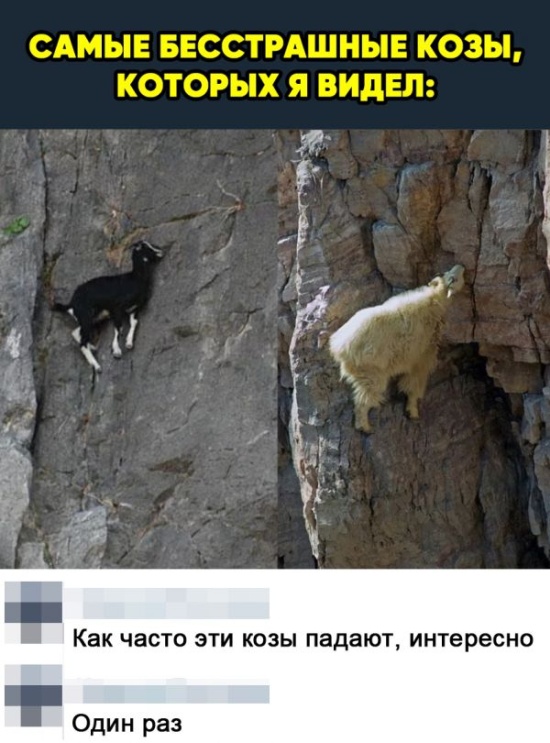 Юмор и шутки с просторов сети