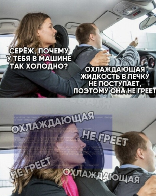 Прикольные картинки