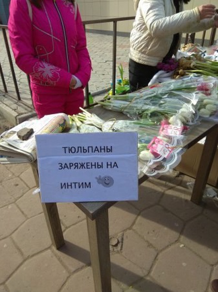 Прикольные картинки