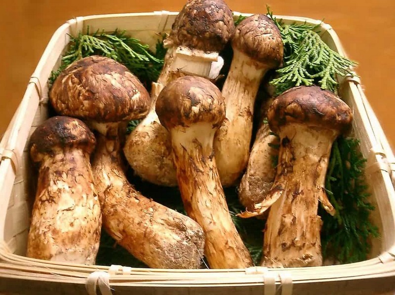 Продукты для очень богатых людей Продукты для очень богатых людей
