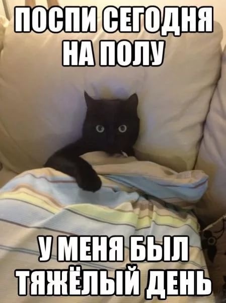 Простой юмор с просторов сети