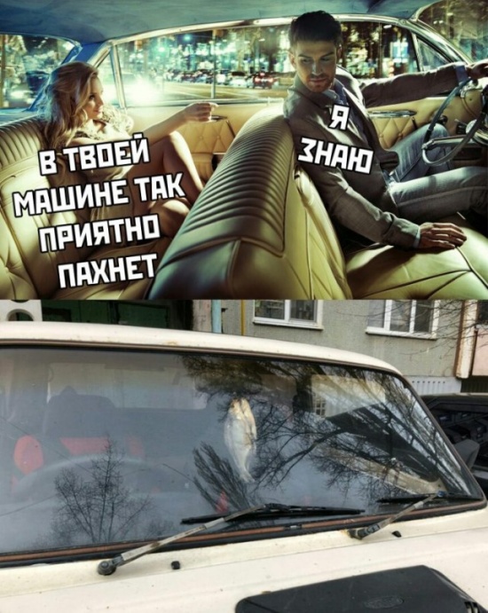 Прикольные картинки