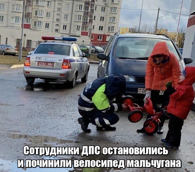 Прикольные картинки