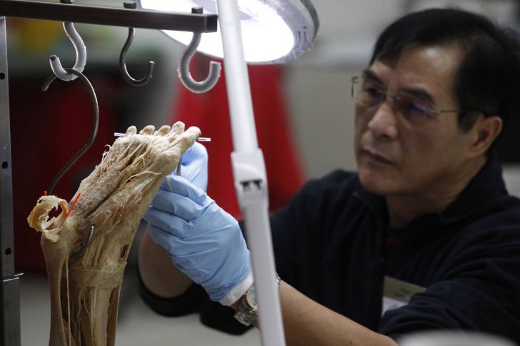 Экспонаты анатомической выставки Body Worlds могут скрывать жуткую тайну Экспонаты анатомической выставки Body Worlds могут скрывать жуткую тайну
