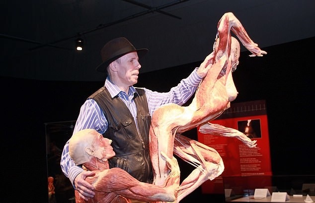 Экспонаты анатомической выставки Body Worlds могут скрывать жуткую тайну Экспонаты анатомической выставки Body Worlds могут скрывать жуткую тайну