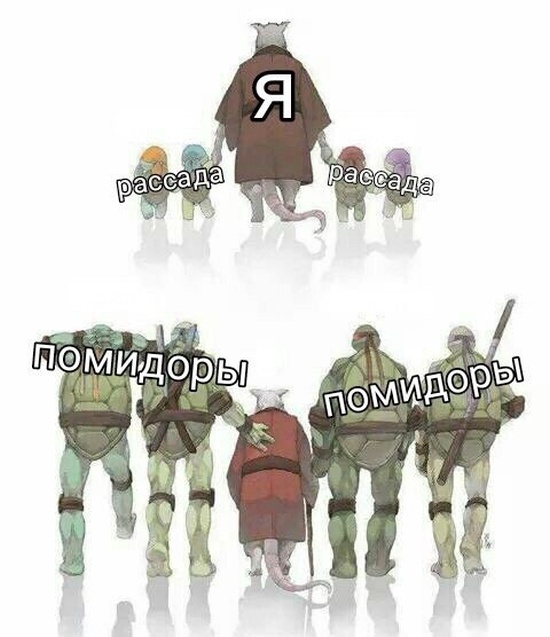 Юмор и шутки с просторов сети
