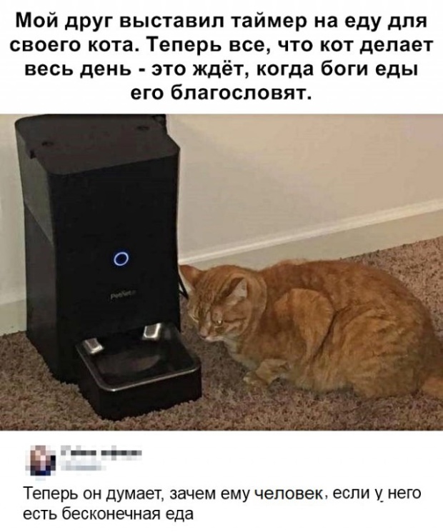 Юмор и шутки с просторов сети