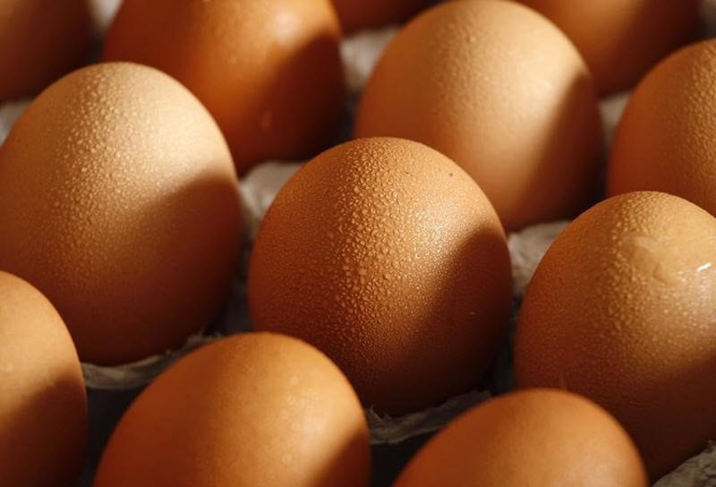 Признаки, указывающие на несвежесть продуктов питания Признаки, указывающие на несвежесть продуктов питания