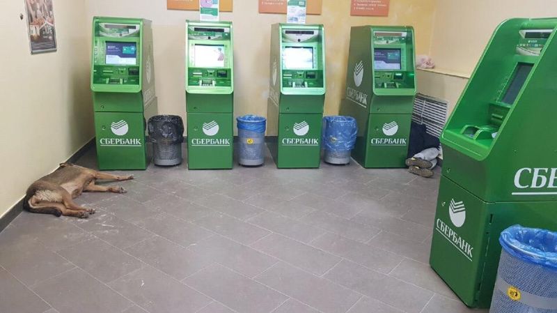 Ночью в отделения самообслуживания Сбербанка лучше не соваться
