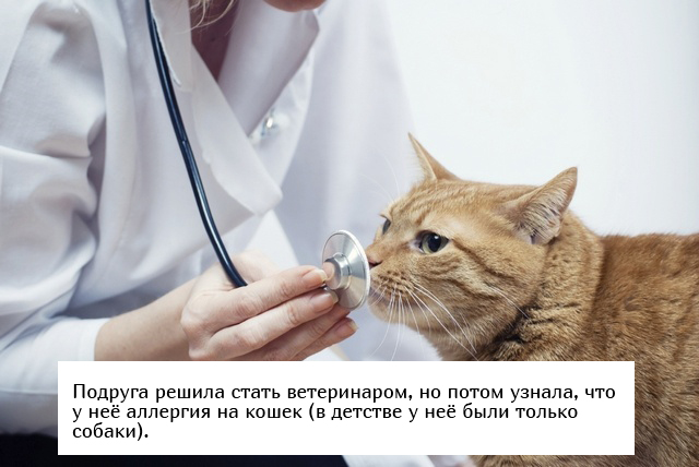 Пользователи сети рассказали о своем неудачном выборе профессии