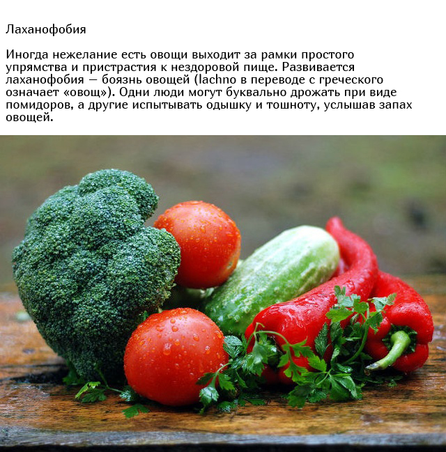 Самые странные и необычные фобии людей