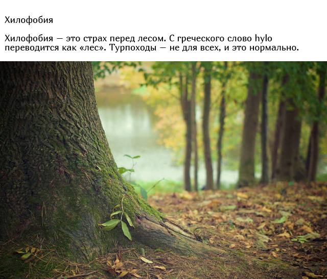 Самые странные и необычные фобии людей