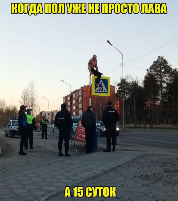 Прикольные картинки