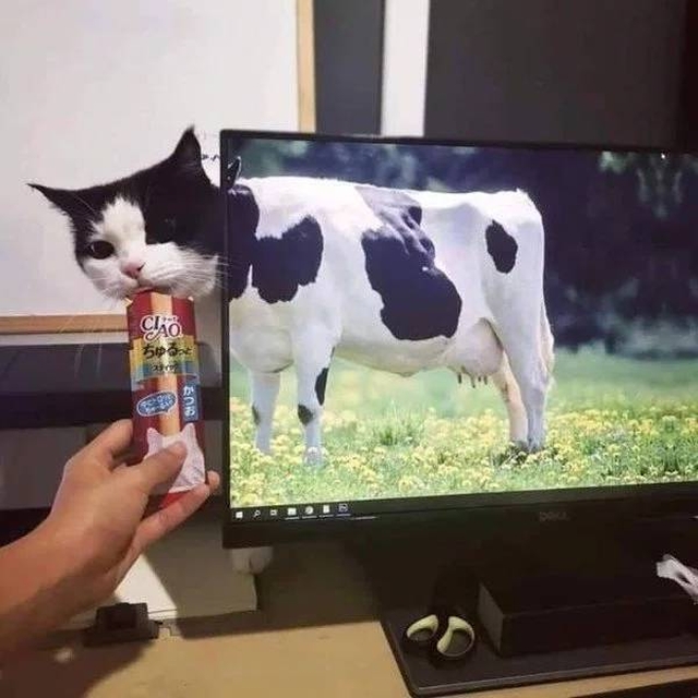Что-то тут не так