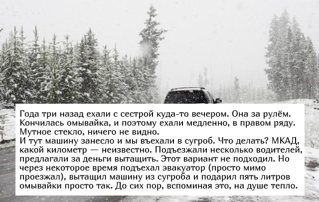 Невыдуманные добрые истории, которые настроят вас на позитивный лад
