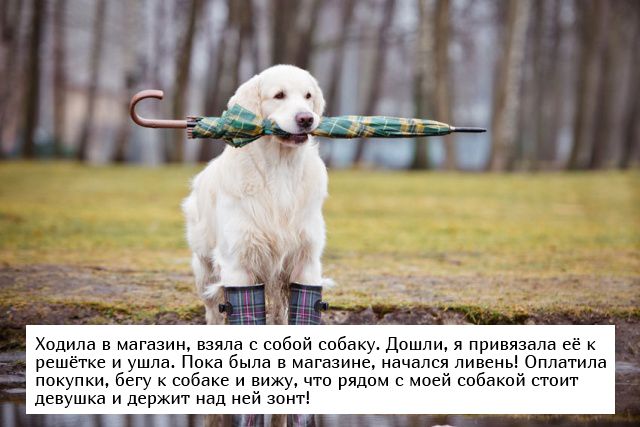 Невыдуманные добрые истории, которые настроят вас на позитивный лад