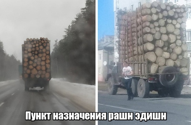 Прикольные картинки
