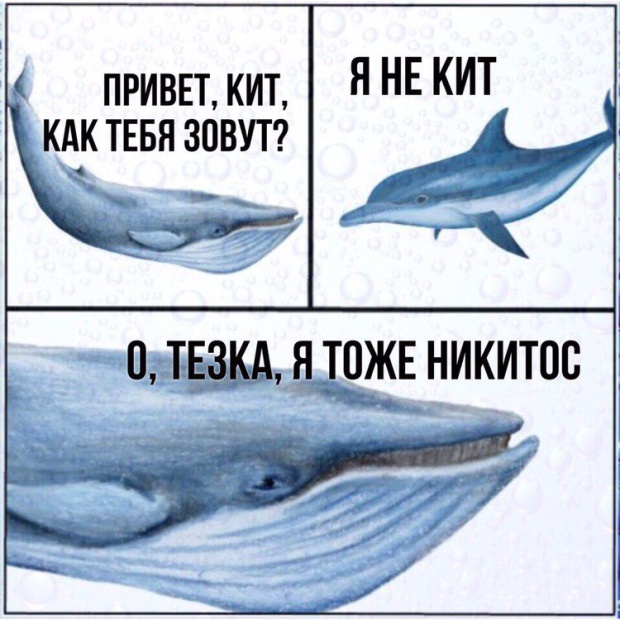 Прикольные картинки