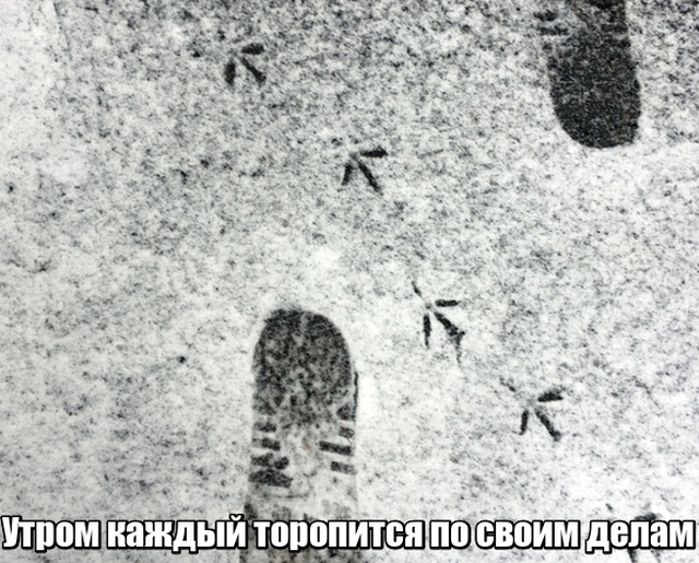 Прикольные картинки