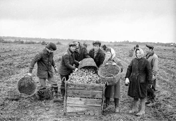 Гласные и негласные запреты в СССР Гласные и негласные запреты в СССР