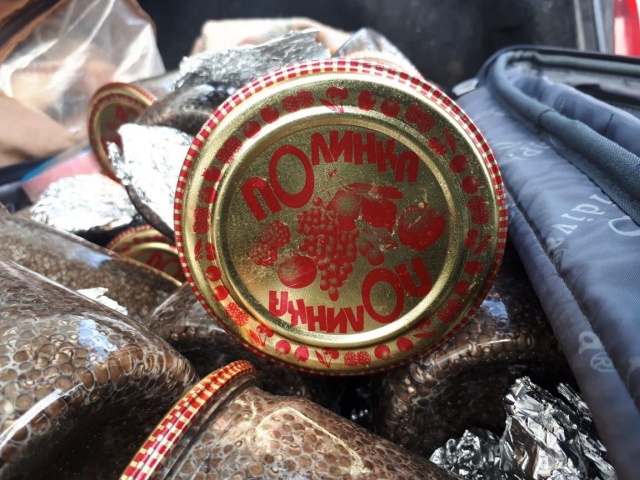 Полиция задержала девушку с 20 килограммами чёрной икры, которую она везла в Москву