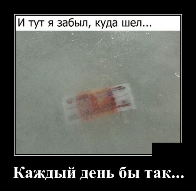 Демотиваторы