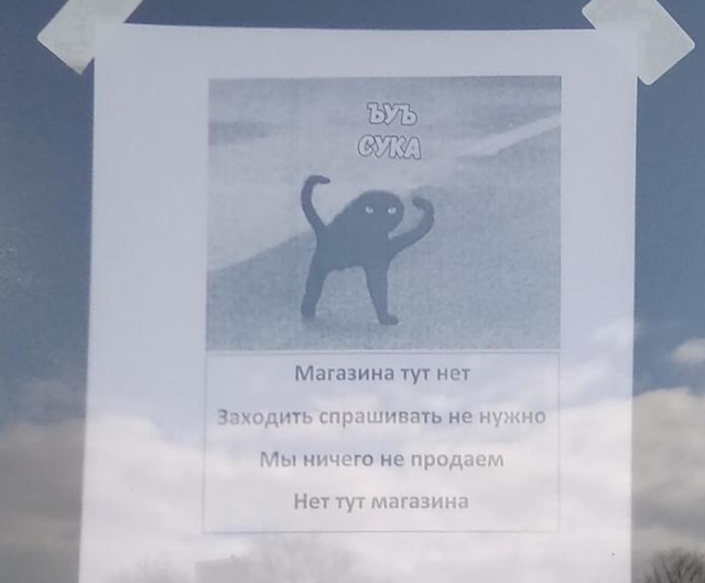 Прикольные картинки