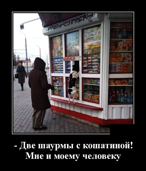 Демотиваторы