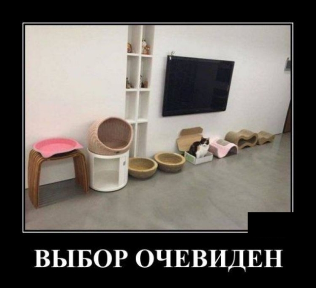 Демотиваторы
