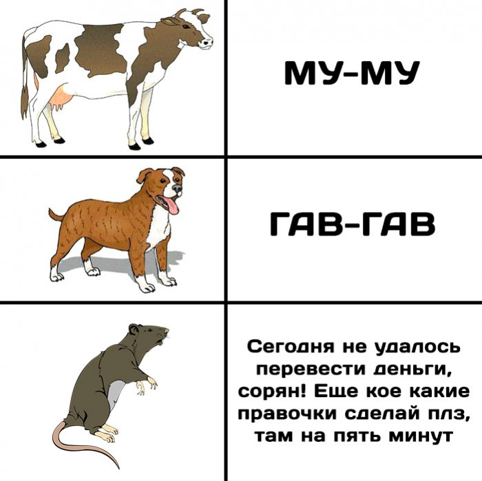 Забавные картинки