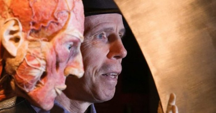 Экспонаты анатомической выставки Body Worlds могут скрывать жуткую тайну