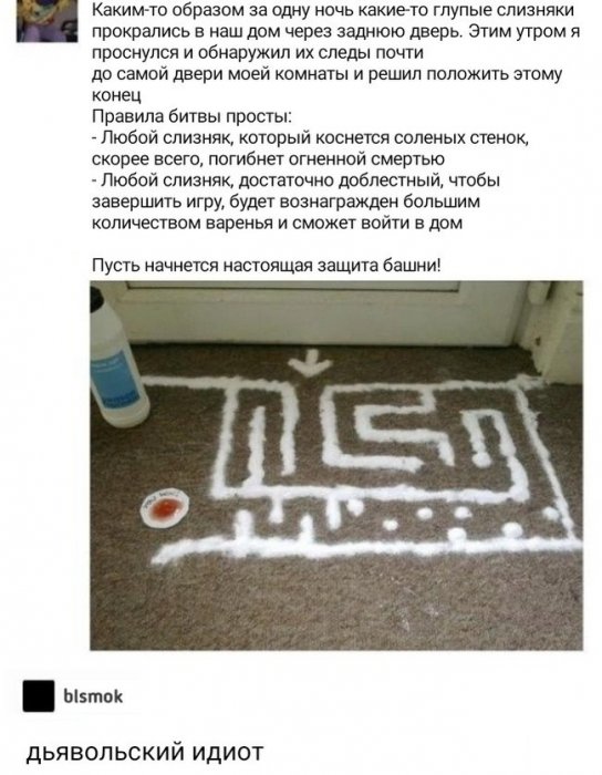 Забавные картинки