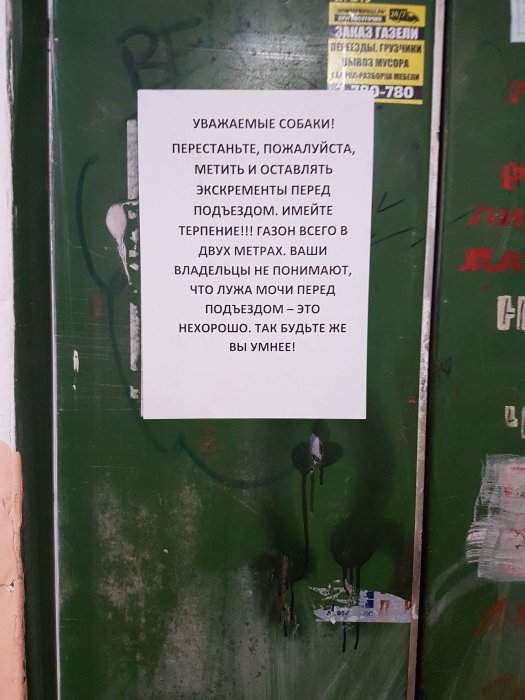 Забавные картинки