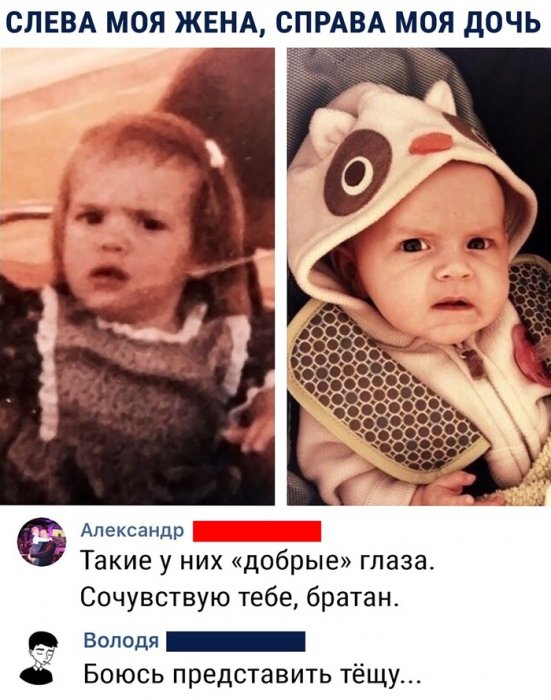 Забавные картинки