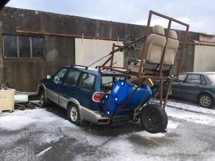 Прикольные картинки