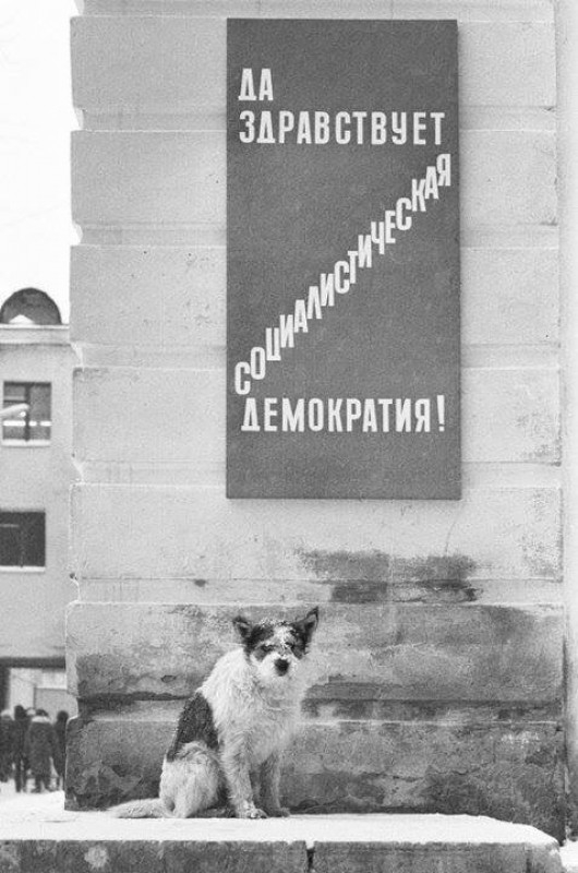 Архивные фотографии и интересные моменты из прошлого Архивные фотографии и интересные моменты из прошлого