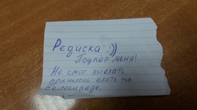 Прикольные картинки