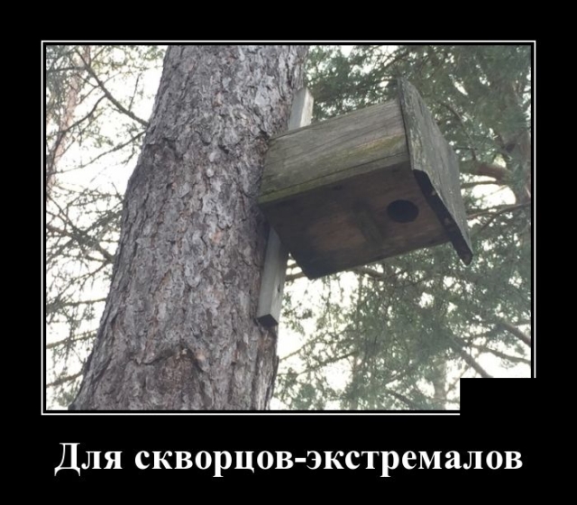 Демотиваторы