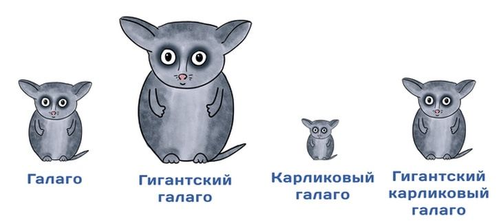 От научных новостей не заскучаешь, если их правильно нарисовать От научных новостей не заскучаешь, если их правильно нарисовать
