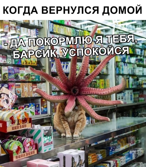 Прикольные картинки