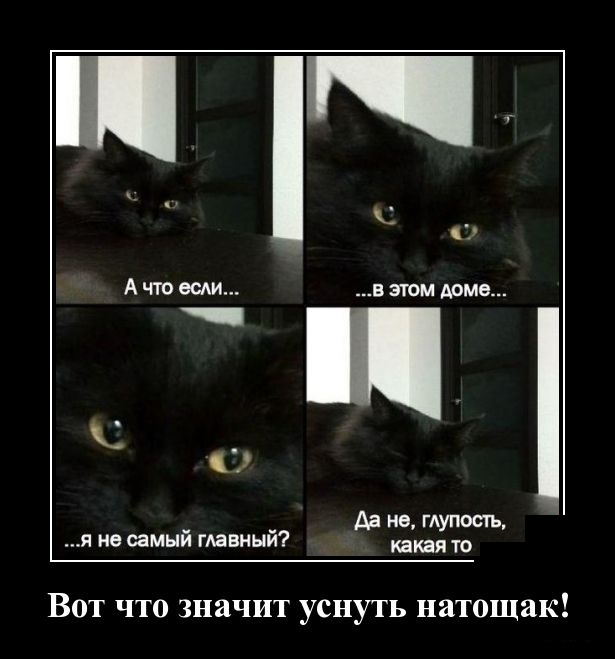 Демотиваторы