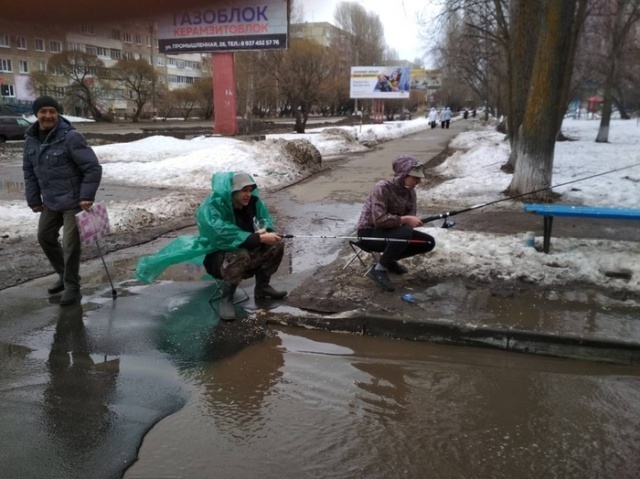 Прикольные картинки
