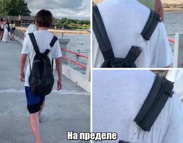 Прикольные картинки