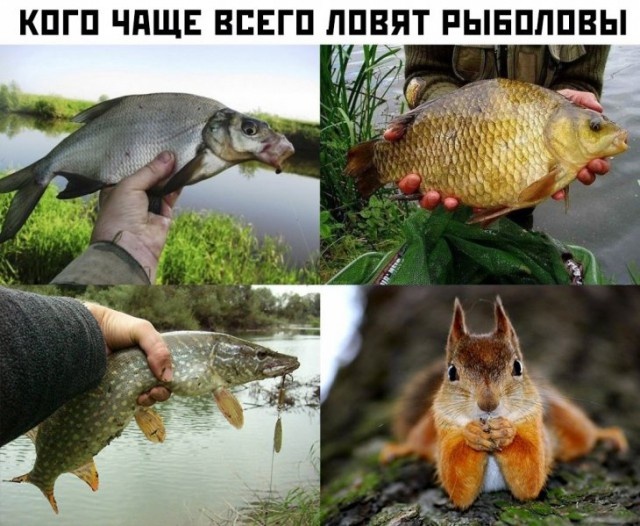 Прикольные картинки