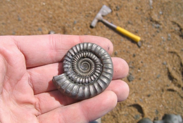 Странные и пугающие находки, которые сделали люди на пляжах Странные и пугающие находки, которые сделали люди на пляжах
